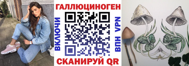 наркотики  Барабинск  Галлюциногенные грибы ЛСД 