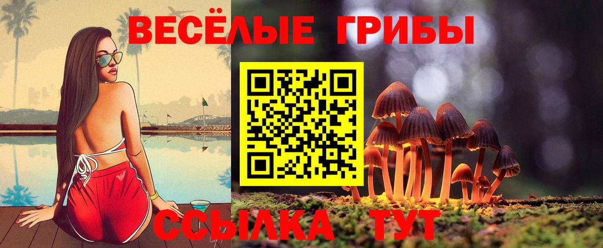 Галлюциногенные грибы MAGIC MUSHROOMS  Вход с VPN  Барабинск  Галлюциногенные грибы прущие грибы 
