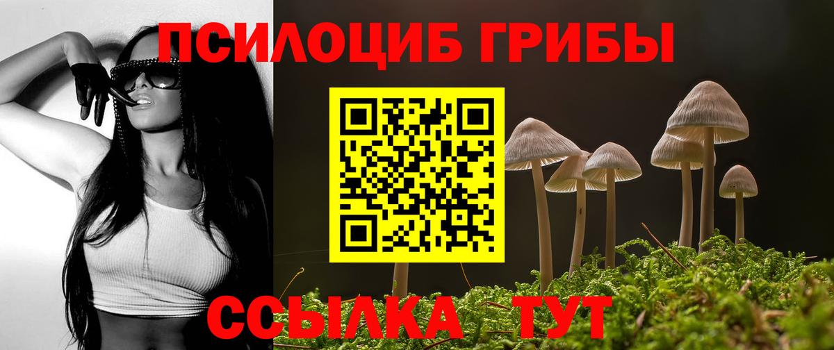 Галлюциногенные грибы GOLDEN TEACHER Барабинск